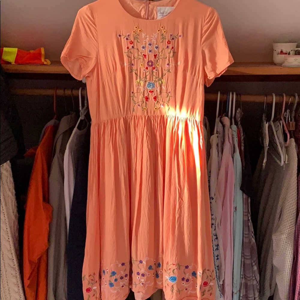 Clad and cloth embroidered dress